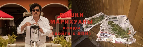 индика Бронницы