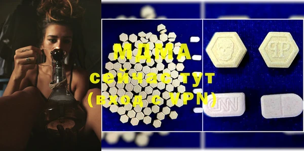 индика Бронницы