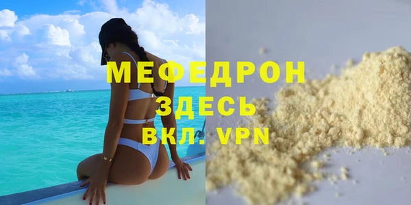 индика Бронницы