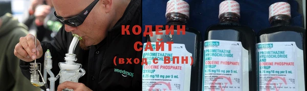 индика Бронницы