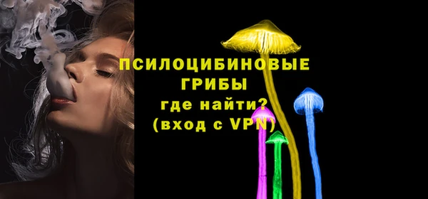 индика Бронницы