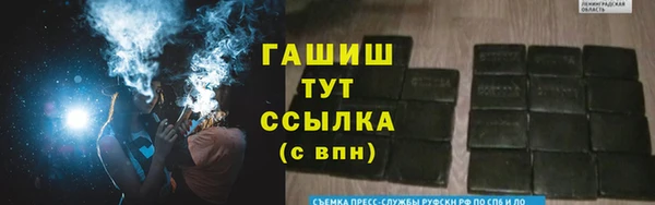 индика Бронницы