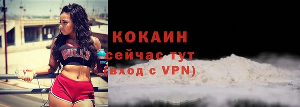индика Бронницы