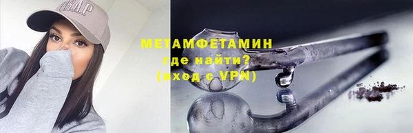 индика Бронницы