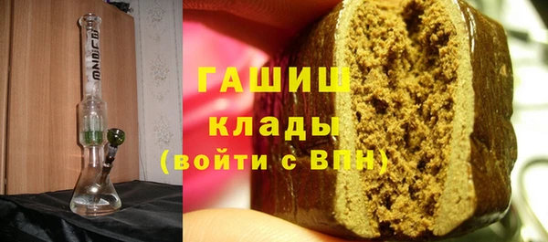 индика Бронницы