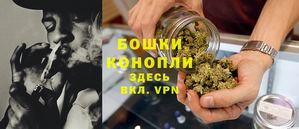 индика Бронницы