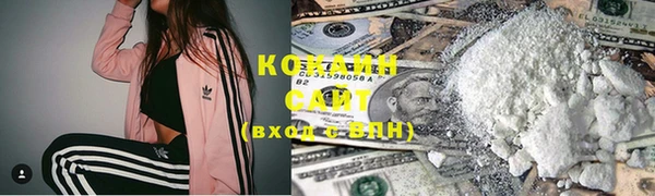 индика Бронницы