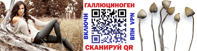 Псилоцибиновые грибы ЛСД Нахабино