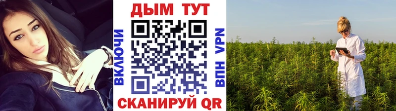 Конопля THC 21%  продажа наркотиков  Нахабино 